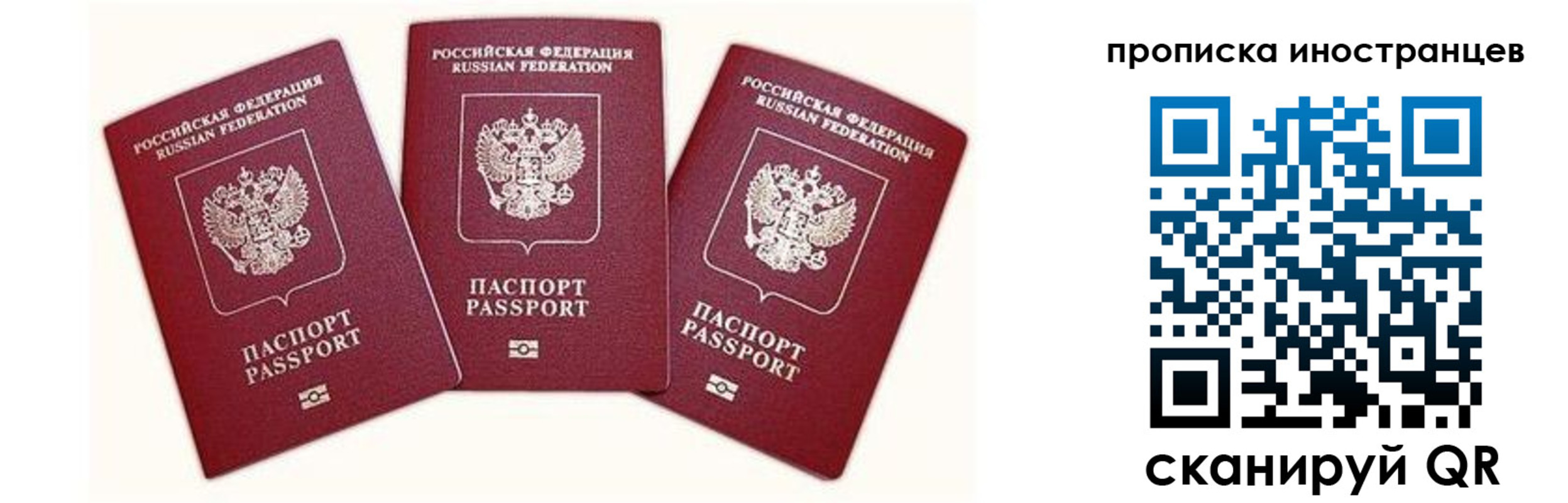 прописка в Михайлове